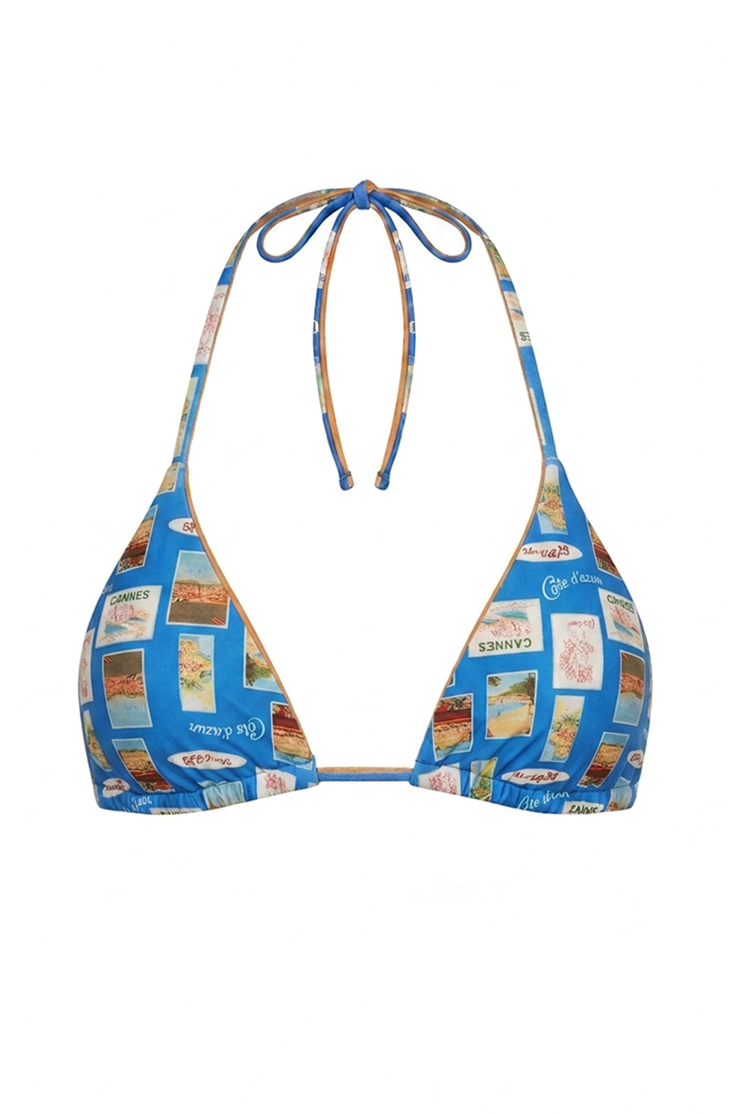 Palm Triangle Bikini Top
