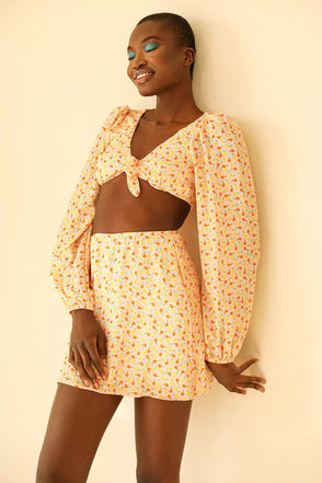 D5061JCROD-FRSQmarla dress freshly squeezed 1 dippin' daisy's