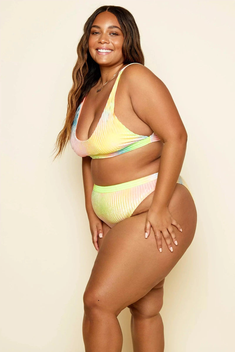Dippin daisy online plus size swimwear