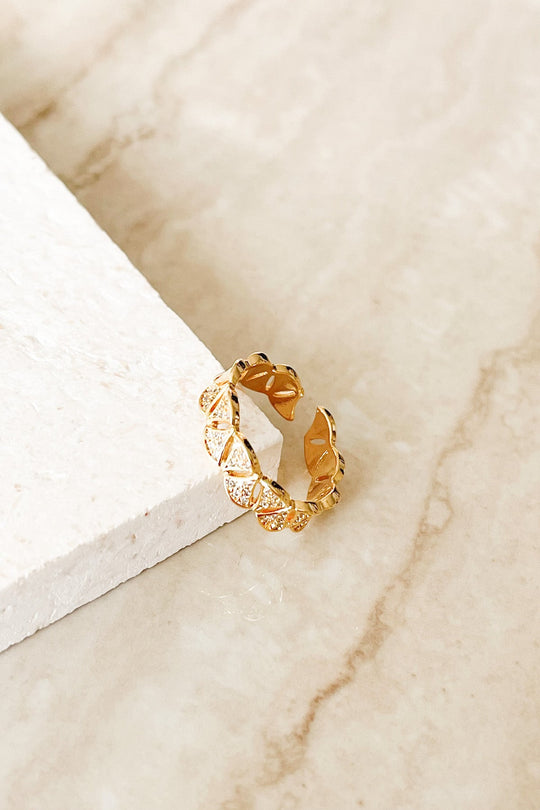 TWIN PEAKS RING